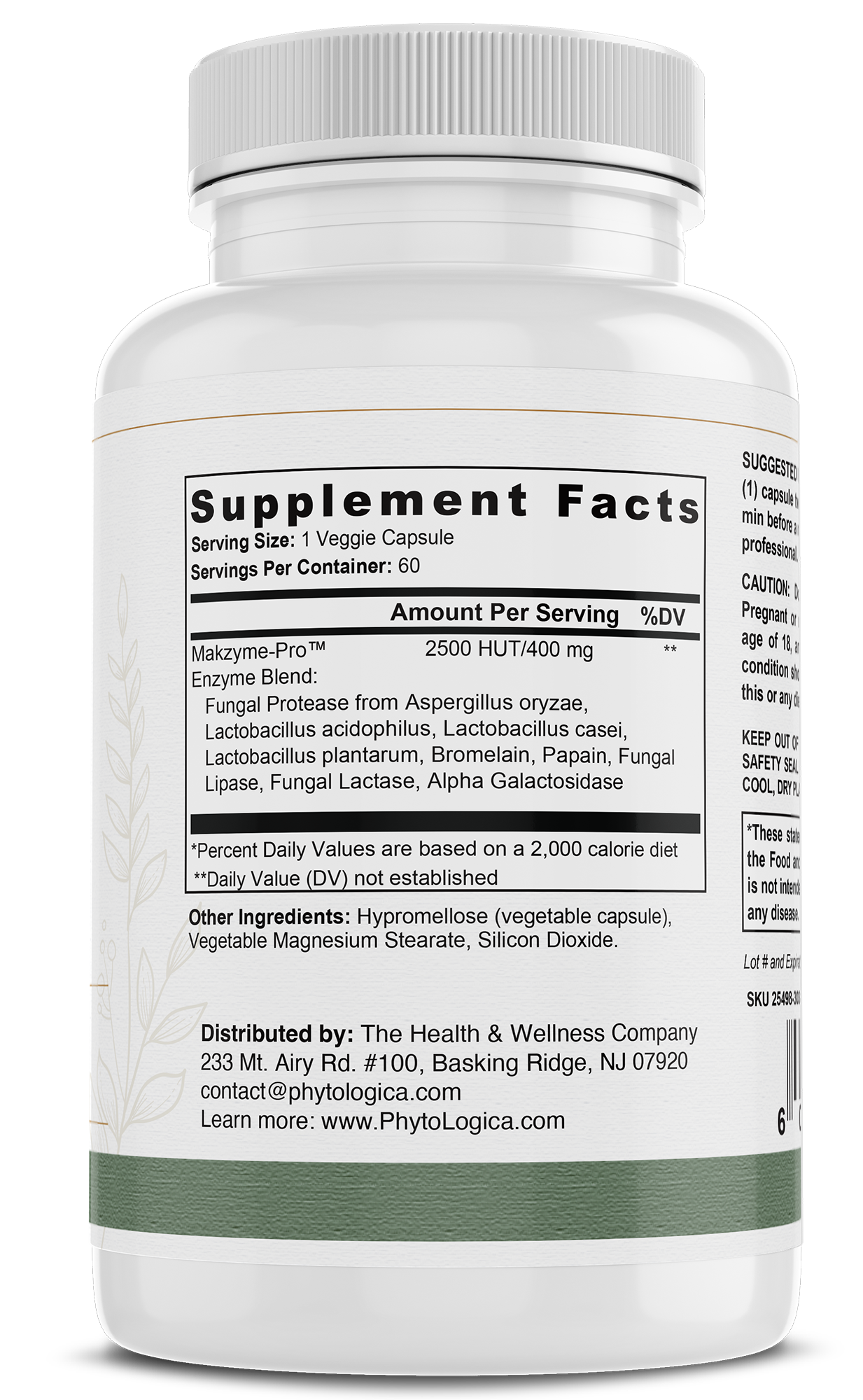 Gut Restore Enzymes — Advanced Digestive & Absorption Support