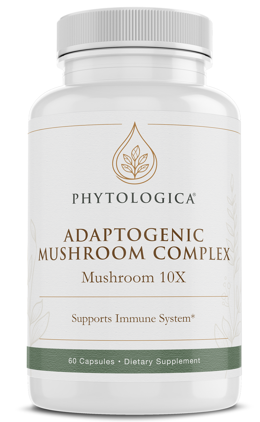 Mushroom 10x