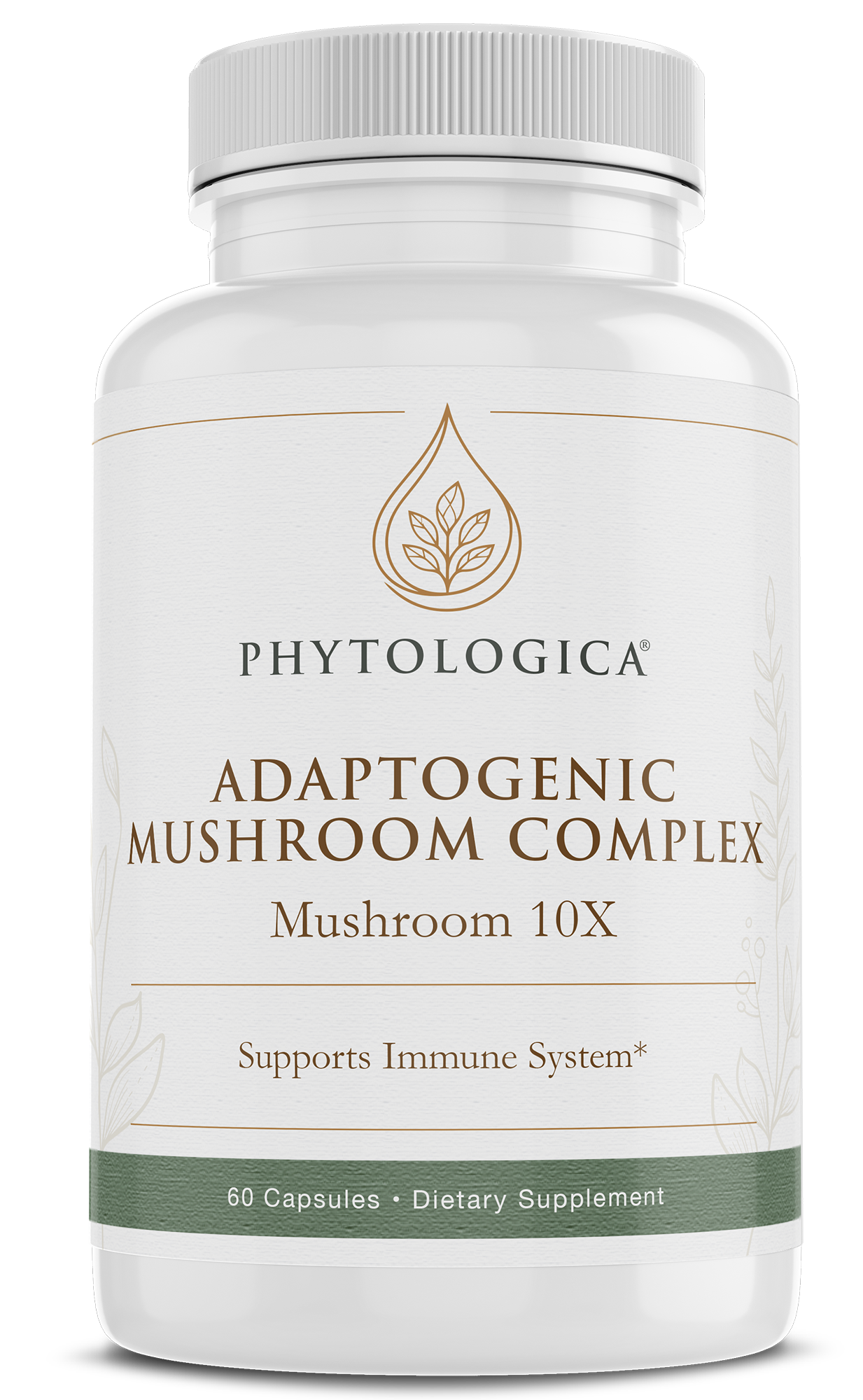 Mushroom 10x