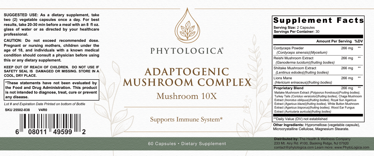 Mushroom 10x