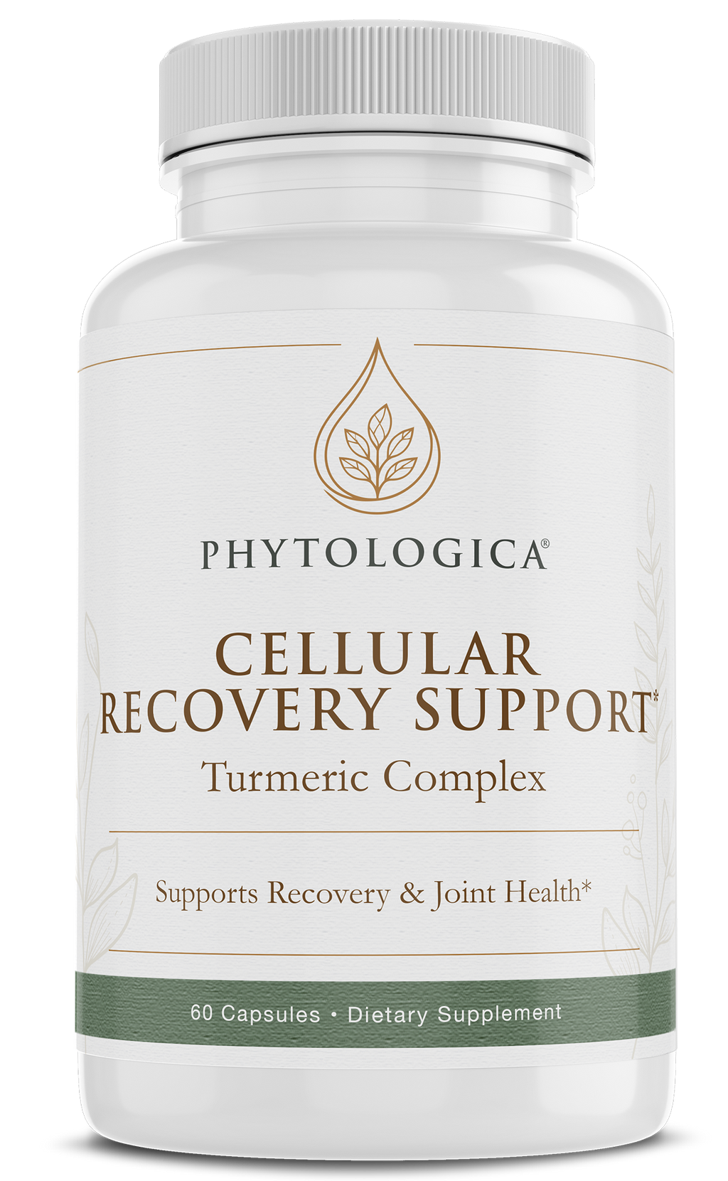 Cellular Recovery Support — Joint, Brain & Metabolic Health